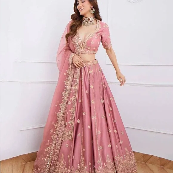 Pink Embroidered Lehenga - Picture 1 of 5